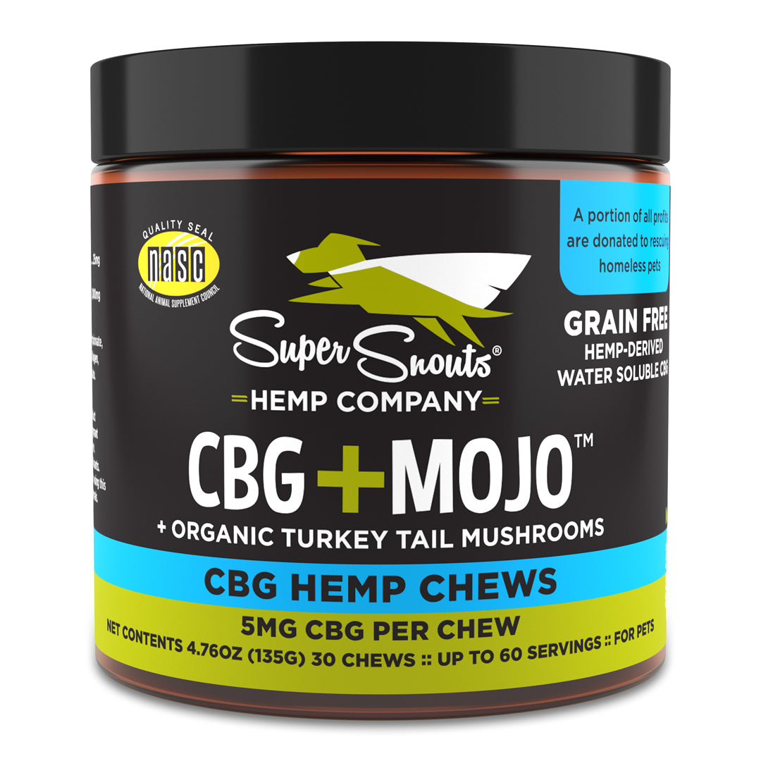 CBG+MOJO :: CBG + TURKEY TAIL MUSHROOM SOFT CHEWS FOR PETS