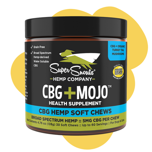 Cbg+Mojo Immune Support Hemp Chew