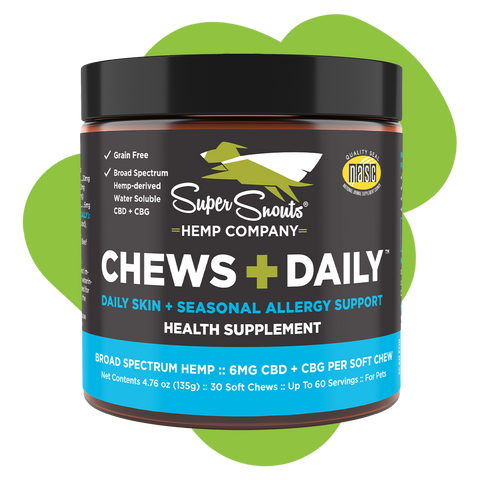 Chews Daily Seasonal Allergy Support Hemp Chew