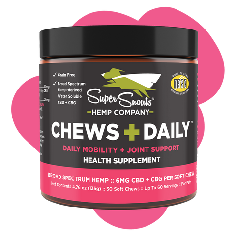 Chews Daily Mobility Support Hemp Chew