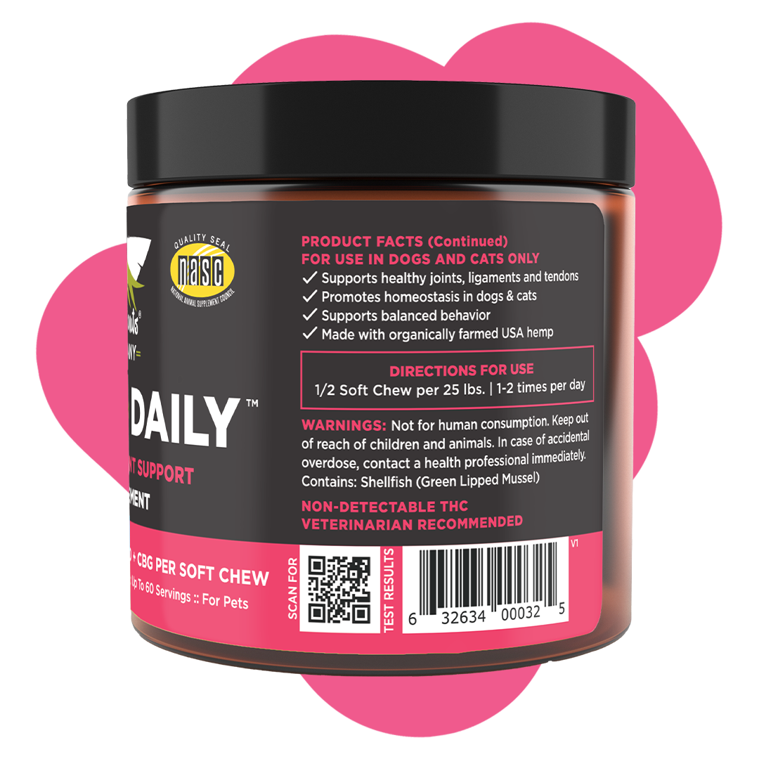 Chews Daily Mobility Support Hemp Chew