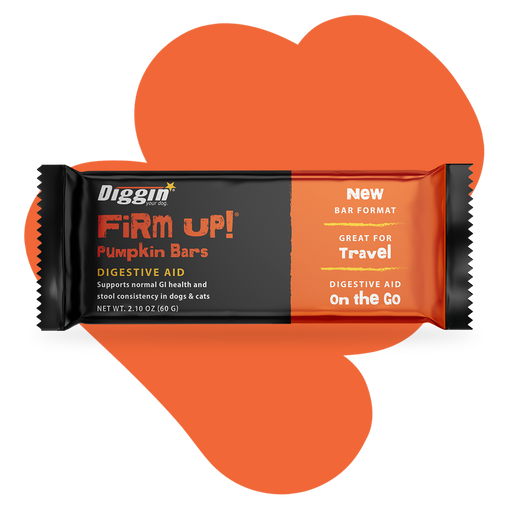 Firm Up! Pumpkin Bars - Digestive Aid