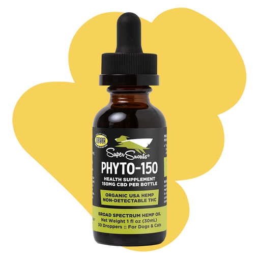 Phyto - Hemp Oil Tincture