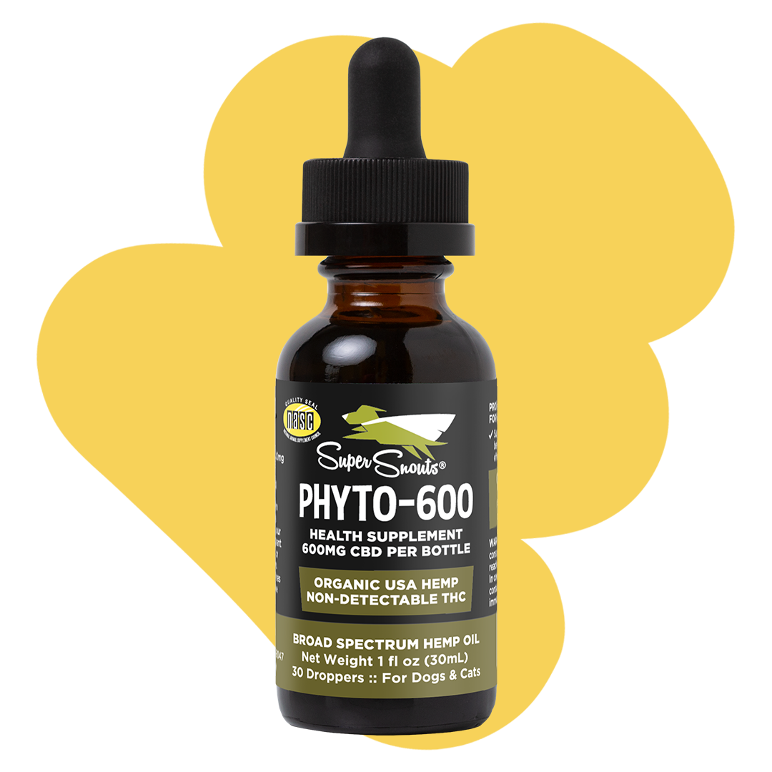 Superior full-spectrum CBD products your premium CBD partner