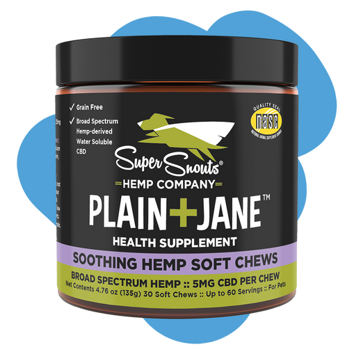 Plain + Jane Wellness Support Hemp Chews